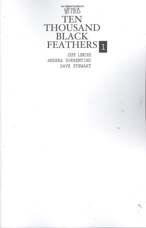 Ten Thousand Black Feathers 1 (2022) Blank Variant